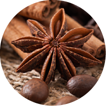 Clove
